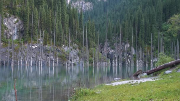 Kaindy See Kasachstan Auch Als Birkensee Oder Unterwasserwald Bekannt Ist — Stockvideo