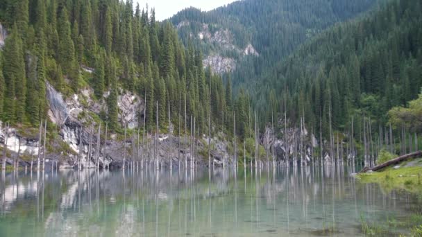 Kaindy Lake Kazakhstan Known Also Birch Tree Lake Underwater Forest — Stock Video