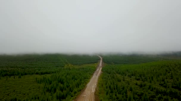 Bam Strada Magadan Siberia Baikal Amur Mainline Strada Bones Russia — Video Stock