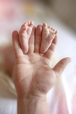 Babası küçük Holding eller ayaklar bebeğim. Yakın çekim minik bebek eller ayaklarda. Yeni doğan bebeğin babası bakım. Küçük küçük çocuk parmak.