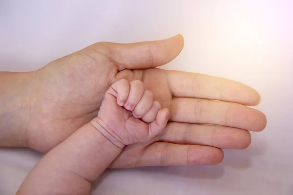 Родители Держатся Ноги Новорожденного Ребенка Родительский Уход Новорожденным Крошечные Пальчики — стоковое фото