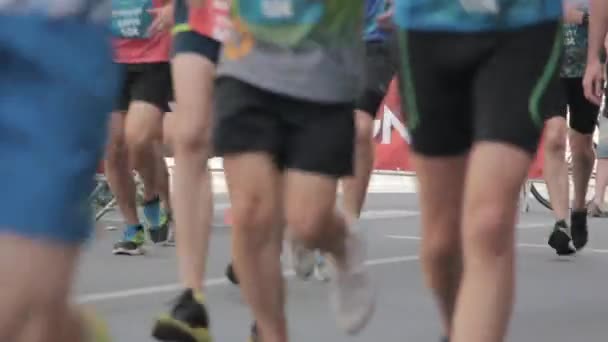 2019 Tet Riga Marathon Latvia Marathon Runners Crowd Front View — Stock Video