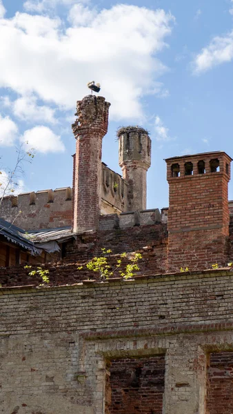 Destruyó Castillo Odzienas Letonia Europa Hermoso Día Soleado Primavera Concepto — Foto de Stock