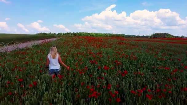 Mladá Blondýnka Kráčí Přes Pole Máku Cítí Šťastná Pole Makové — Stock video