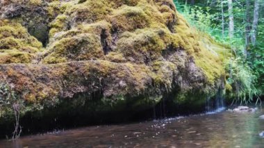 Letonya, Rauna şehrinde şelale. Rocky Bottom ve Rauna Staburags Cliff ile Nehir. Doğanın eşsiz bir kaya şekli. Suyun yosunlardan aşağı aktığı ve ağlıyor gibi göründüğü.. 