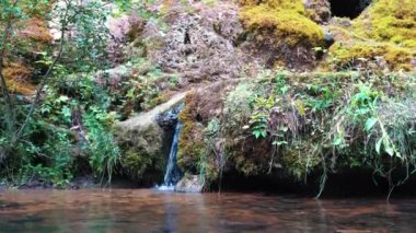 Letonya, Rauna şehrinde şelale. Rocky Bottom ve Rauna Staburags Cliff ile Nehir. Doğanın eşsiz bir kaya şekli. Suyun yosunlardan aşağı aktığı ve ağlıyor gibi göründüğü.. 