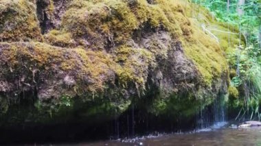 Letonya, Rauna şehrinde şelale. Rocky Bottom ve Rauna Staburags Cliff ile Nehir. Doğanın eşsiz bir kaya şekli. Suyun yosunlardan aşağı aktığı ve ağlıyor gibi göründüğü.. 