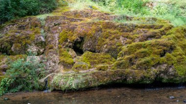 Letonya, Rauna şehrinde şelale. Rocky Bottom ve Rauna Staburags Cliff ile Nehir. Doğanın eşsiz bir kaya şekli. Suyun yosunlardan aşağı aktığı ve ağlıyor gibi göründüğü.. 