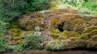 Letonya, Rauna şehrinde şelale. Rocky Bottom ve Rauna Staburags Cliff ile Nehir. Doğanın eşsiz bir kaya şekli. Suyun yosunlardan aşağı aktığı ve ağlıyor gibi göründüğü.. 