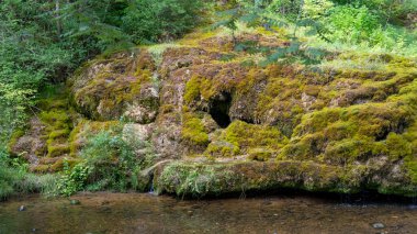 Letonya, Rauna şehrinde şelale. Rocky Bottom ve Rauna Staburags Cliff ile Nehir. Doğanın eşsiz bir kaya şekli. Suyun yosunlardan aşağı aktığı ve ağlıyor gibi göründüğü.. 