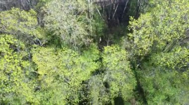  Veckalsnava Kilisesi 'nin kalıntıları. Kalsnava Bölgesi Letonya 'daki Lüteryen Kilisesi' nin Eski Mimari Detayları. Güneşli Bahar Günü.