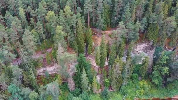 Tiro Aéreo Penhasco Sietiniezis Rock Letónia Parque Nacional Gauja Pine — Vídeo de Stock