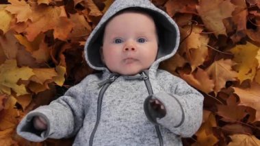 Newboardcu Bebek Yapraklarla Sonbahar Yeşillikleri 'nde Oynuyor. Sonbahar Sarı Yapraklı Bebek Portresi, Küçük Çocuk ve Sonbahar Yaprakları Parkta