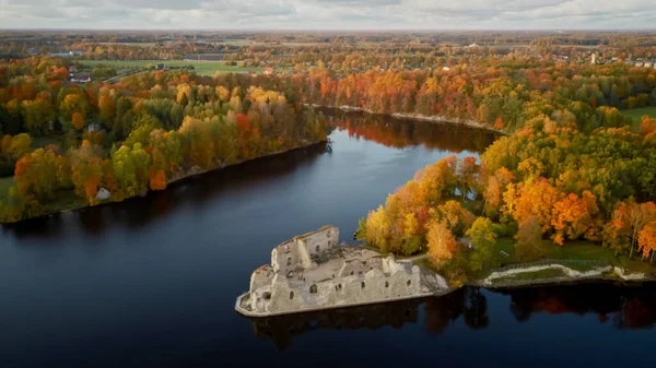 Autunno Paesaggio Aereo Del Vecchio Castello Koknese Rovine Fiume Daugava — Foto Stock