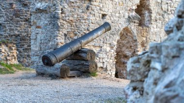 Koknese Kalesi kalıntıları ve Koknese Letonya 'da bulunan Daugava Nehri' nin sonbahar manzarası. Ortaçağ Kalesi Koknese 'de.