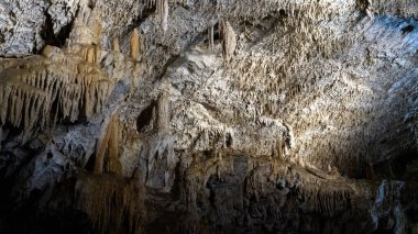Slovakya 'nın Düşük Tatras' taki Demanovska Mağarası Stalactites Stalagmitleri ve Yeraltı Şelalesi Gölü ile Slovakya 'nın Doğal Kireç Taşı oluşumlarında En Çok Ziyaret Edilmiş Mağara