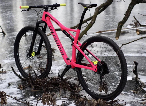 Bicicleta Montaña Carbono Rosa Twentyniner Ultra Lite —  Fotos de Stock