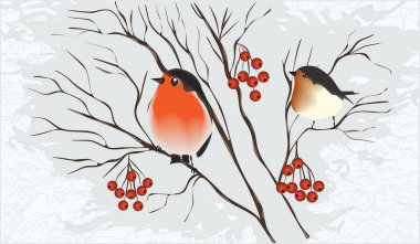 Kış arka plan - bullfinches - dağ kül demet - ağaç dal illüstrasyon vektör