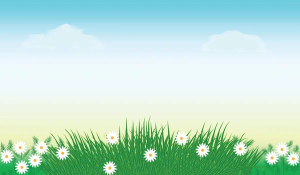 Lente Achtergrond Hemel Gras Madeliefjes Kunst Vectorillustratie — Stockvector