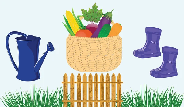 Veio de cesta com legumes, regador azul e botas de borracha, palidez, grama - isolado no fundo branco - vetor — Vetor de Stock