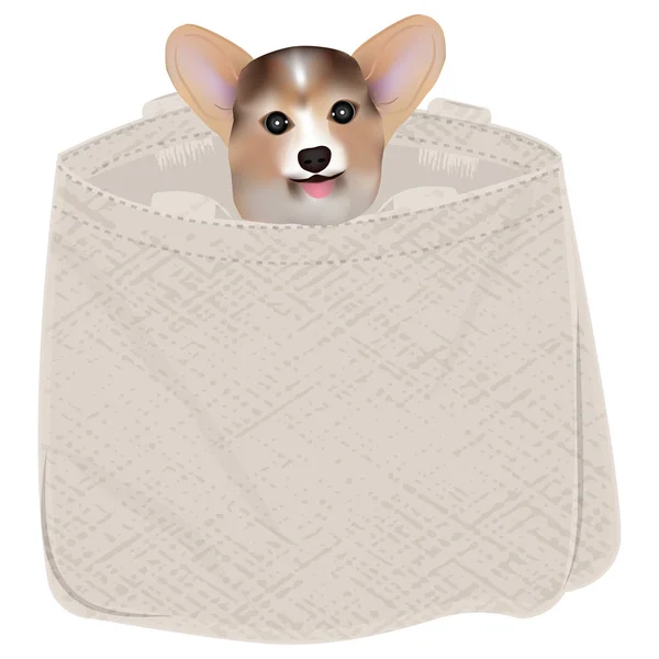 Cabeza de cachorro Corgi asomándose de la bolsa de lona - aislado sobre fondo blanco - vector — Vector de stock