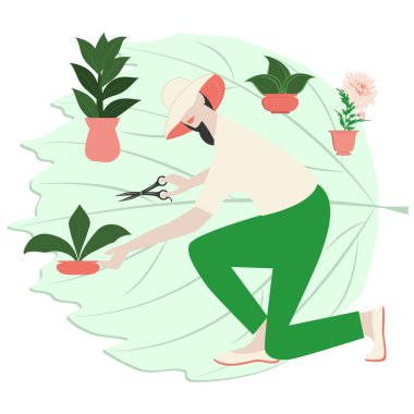 Ev bakımı bitkileri. Bahçe makası olan kız bitkinin yanında tek dizinin üzerinde duruyor. Beyaz arka planda, düz bir şekilde izole edilmiş. Ekolojik kavram. Bahçe bakımı.