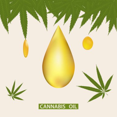 Esrar - yağ damlaları - yatay yaprak sınırı - vektör. Sağlık kavramı. Şifalı bitkiler. Tıbbi esrar kavramı.