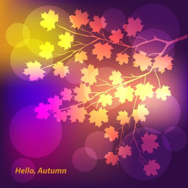 Akçaağaç yapraklı bir dal, parlak noktalı renkli bir zemin - vektör çizimi. Merhaba, Autumn..