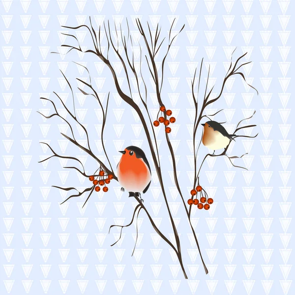 Fundo branco de ornamento com aberturas - bullfinches em um ramo de árvore - vetor. Feliz Ano Novo. Feliz Natal! . — Vetor de Stock