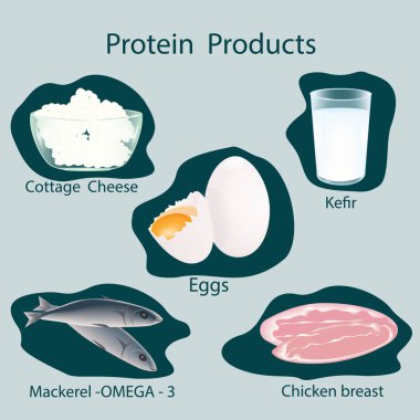 Protein ürünleri - yumurta, bir bardak kefir, süzme peynir, tavuk eti, uskumru - vektör. Sağlıklı beslenme vücut ağırlığı kontrolü.