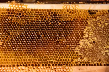 Arı peteği çerçeve bitmemiş bal ve balmumu parçaları ile