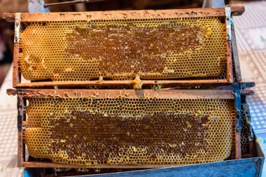 Arı peteği çerçeve bitmemiş bal ve balmumu parçaları ile
