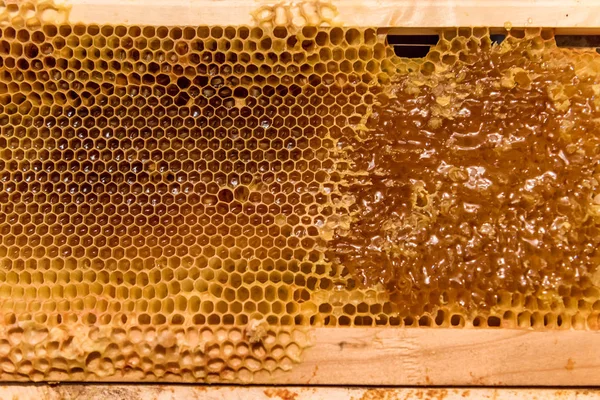 Arı peteği çerçeve bitmemiş bal ve balmumu parçaları ile