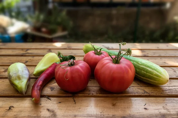 Bio Gemüse Aus Einem Kleinen Garten Auf Einem Rustikalen Holztisch — Stockfoto