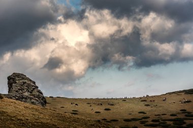 En düşük SAR dağlar, Sar Planina, Makedonya - karışık koyun sürüsü ve bulutlu gökyüzü altında üzerinde otlatma sığır