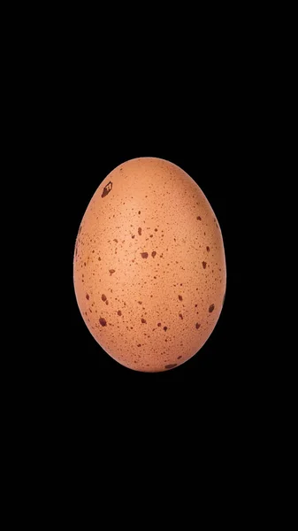 Куриное Яйцо Изолировано Черном Фоне — стоковое фото