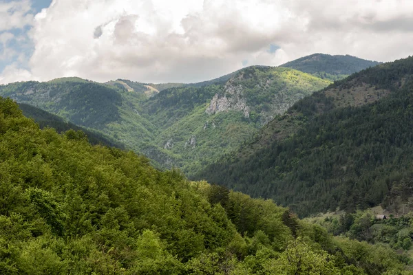 Zlatibor Dağın Manzara Yeşil Çayırlar Tepeler Bahar Bulutlar Ile Mavi — Stok fotoğraf