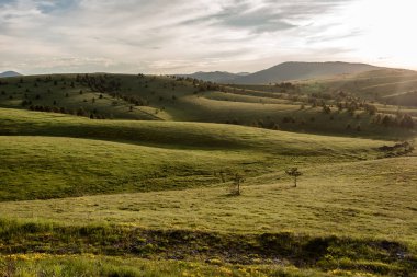 Zlatibor dağın manzara. Yeşil çayırlar ve tepeler bahar bulutlar ile mavi gökyüzü altında