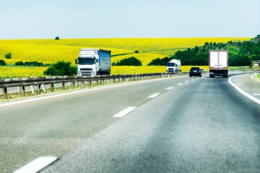 Arka planda ayçiçeği alanları ile güzel bir yaz gününde Hafif karayolu trafiği