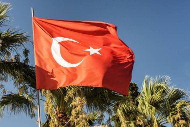 Türkiye ve açık mavi gökyüzü karşı yeşil palmiye ağacı ulusal bayrak