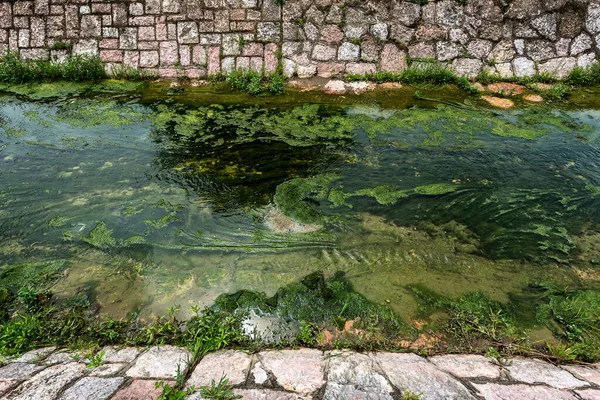 Green Conferva Auf Der Flachen Wasseroberfläche Des Kanals Ein Kleiner — Stockfoto