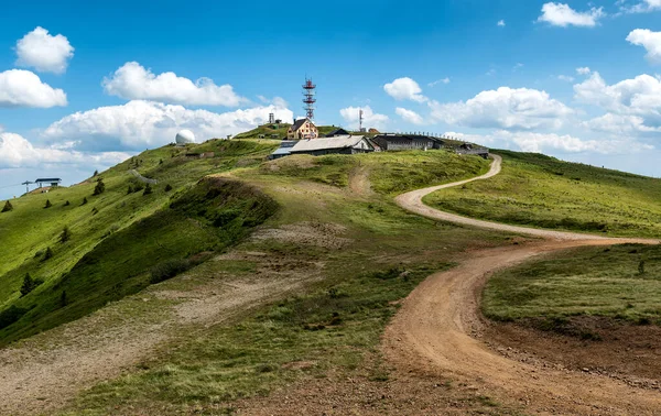 Kopaonik Sırbistan Temmuz 2020 Panciç Baharda Zirvesi Kopaonik Dağı Sırbistan — Stok fotoğraf