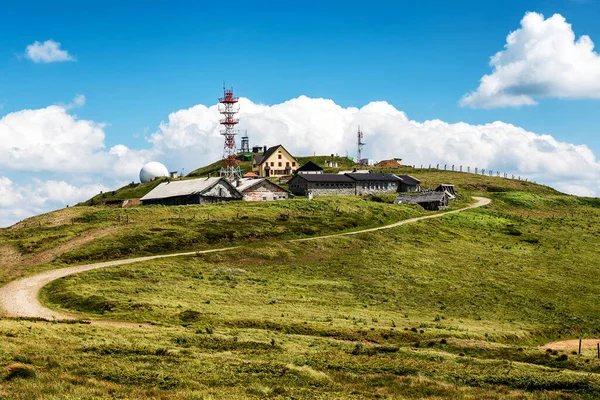 Kopaonik Serbia July 2020 Pancic Peak Spring Highest Peak Kopaonik — Stock Photo, Image