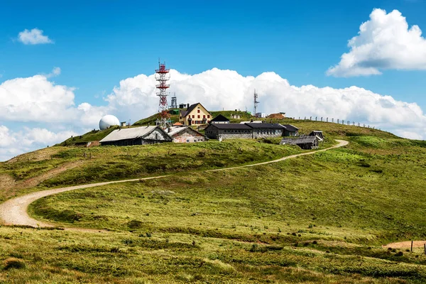 Kopaonik Sırbistan Temmuz 2020 Panciç Baharda Zirvesi Kopaonik Dağı Sırbistan — Stok fotoğraf