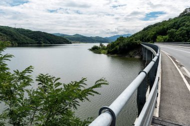 Sırbistan 'daki Celije Gölü' nde sakin bir sabah