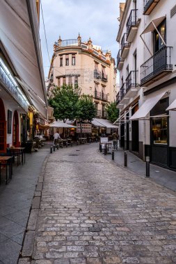 Seville, İspanya - 13 Kasım 2024 Sevilla yaya sokağı Sevilla, İspanya 'da Katedral yakınlarında. Ünlü simge.