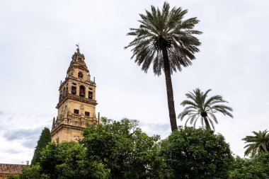 İspanya, Cordoba 'daki Cami-Katedrali' ndeki çan kulesi. Mezquita 'daki çan kulesi, Cordoba, İspanya' daki bir cami-katedrali.