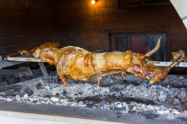 Kuzu bir tükürmek tüm kavrulmuş olmak