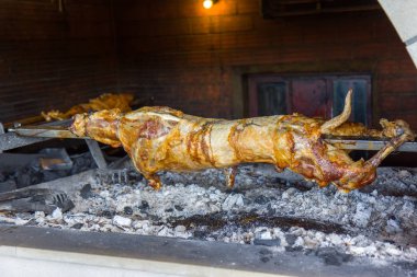 Kuzu bir tükürmek tüm kavrulmuş olmak