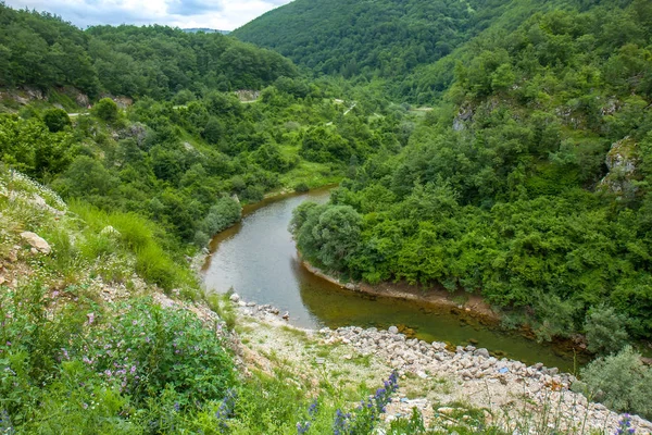 ボスニア ・ ヘルツェゴビナの Zalomka 峡谷の川 — ストック写真